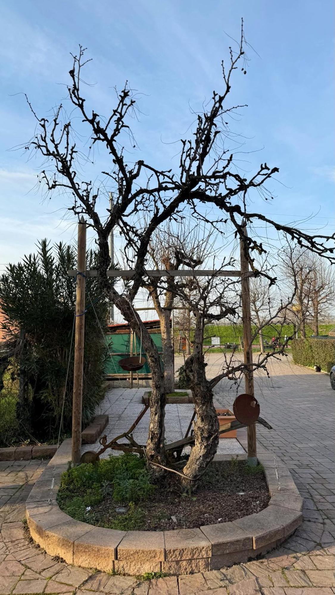 La Busa Camere E Trattoria Ponte San Nicolo Ngoại thất bức ảnh